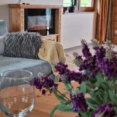Widokowe U Homera 아파트 자코파네