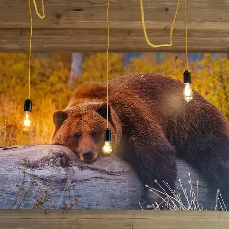 Widokowe U Homera Zakopane